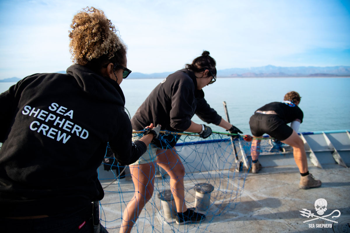 Volontari di Sea Shepherd